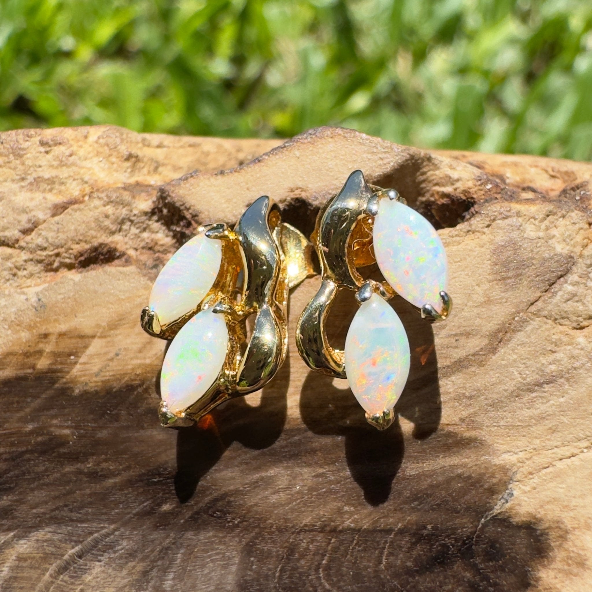Cape York Wild Flowers ~ 0.8ct Coober Pedy Opal Yellow Gold Coated Sterling Silver Earrings