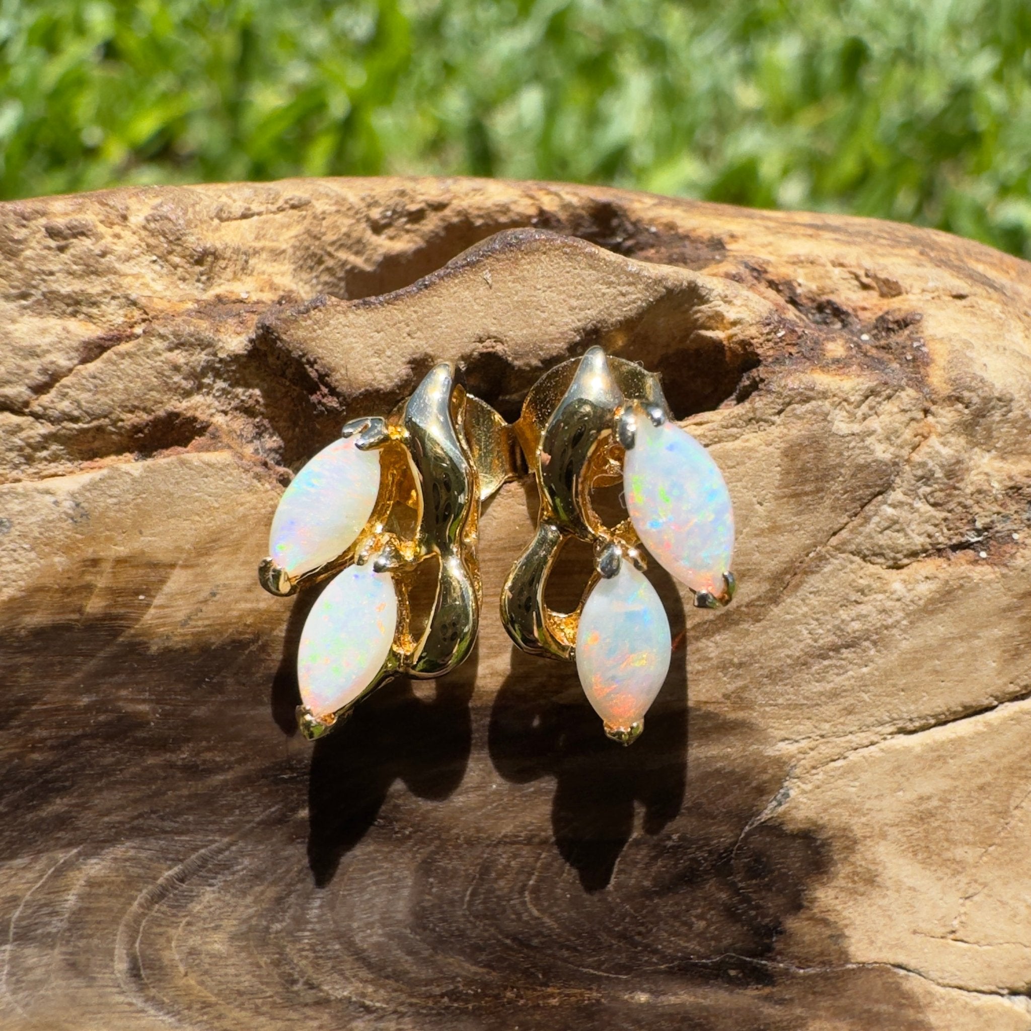 Cape York Wild Flowers ~ 0.8ct Coober Pedy Opal Yellow Gold Coated Sterling Silver Earrings