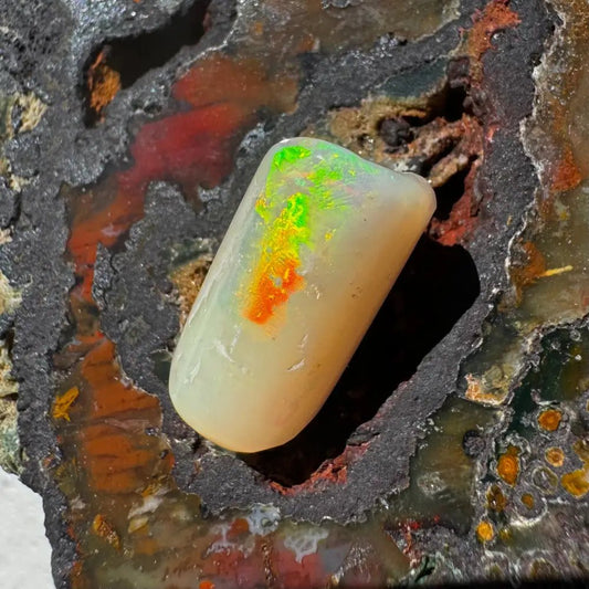 Coober Pedy Belemnite Opal (Fossil Opal Squid) 8.9carat Solid Hand - Cut