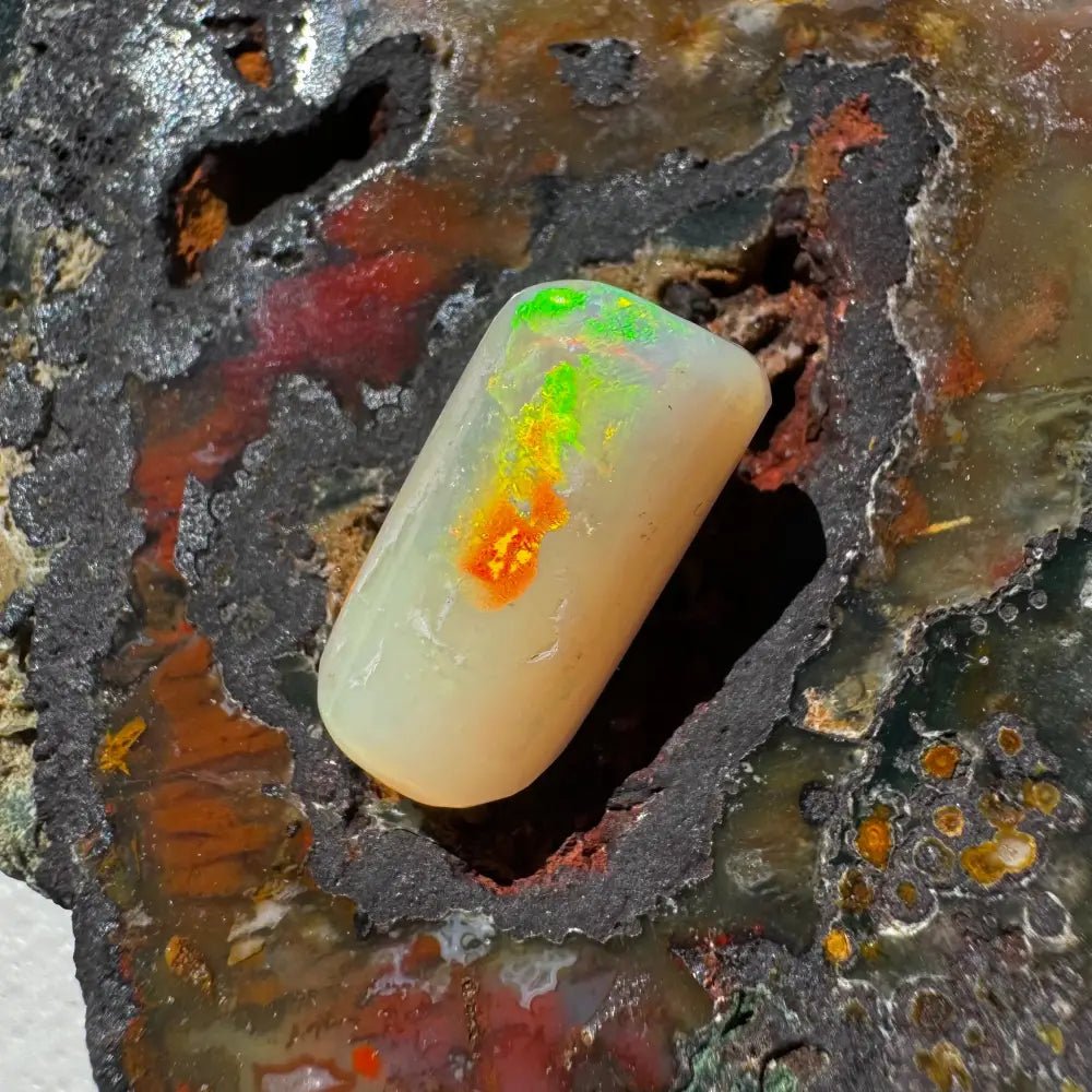 Coober Pedy Belemnite Opal (Fossil Opal Squid) 8.9carat Solid Hand - Cut