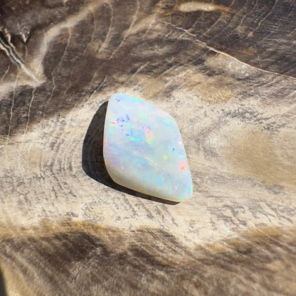 Iridescent opal gemstone from Coober Pedy Belemnite Opal 2.1 carats solid fossilized squid