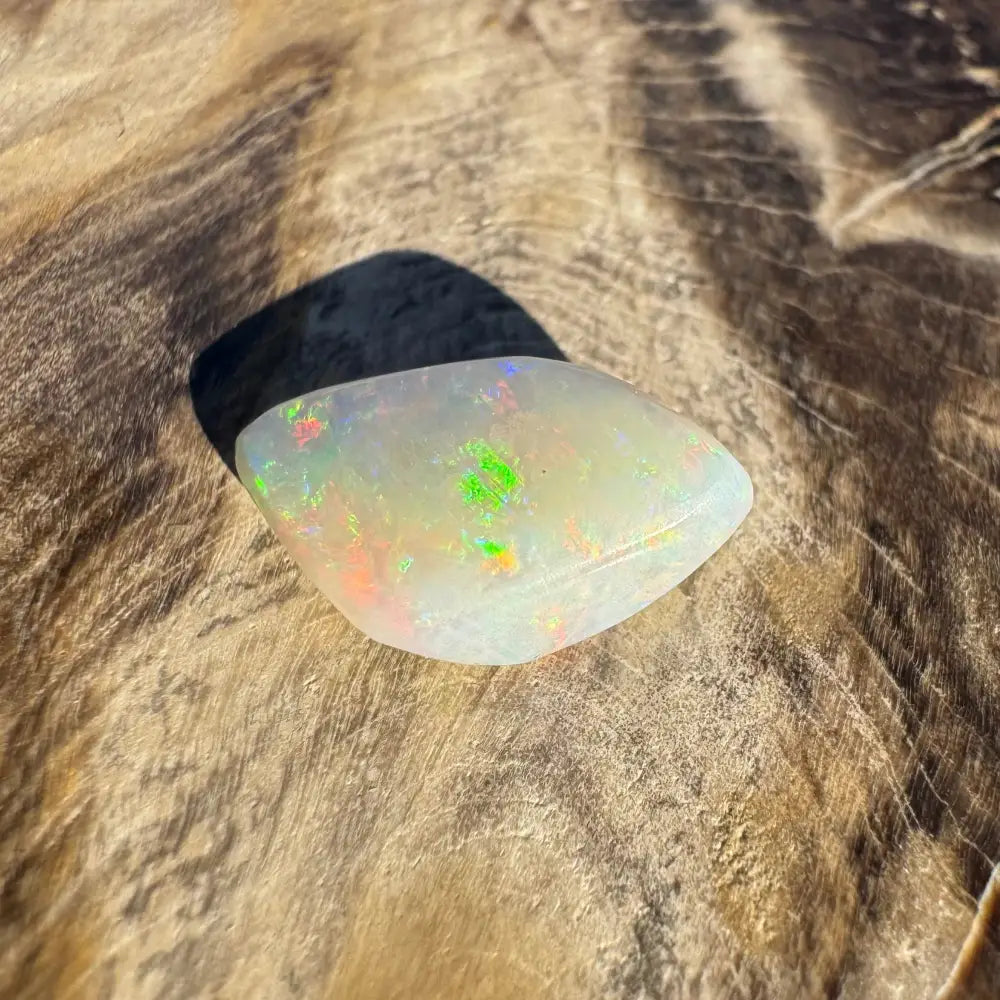 Iridescent white opal gemstone from Coober Pedy Belemnite Opal fossilized squid specimen