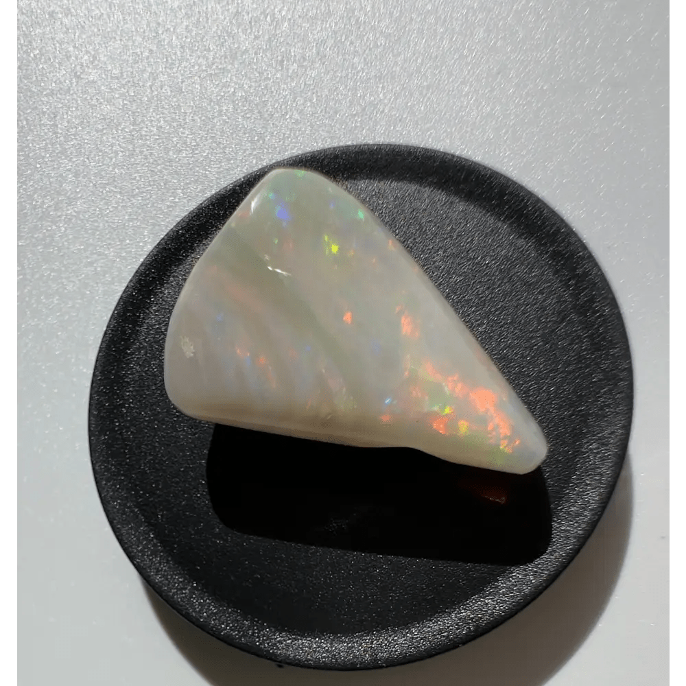 Coober Pedy Opal Sea Shell 14.9carat Solid Hand - Cut