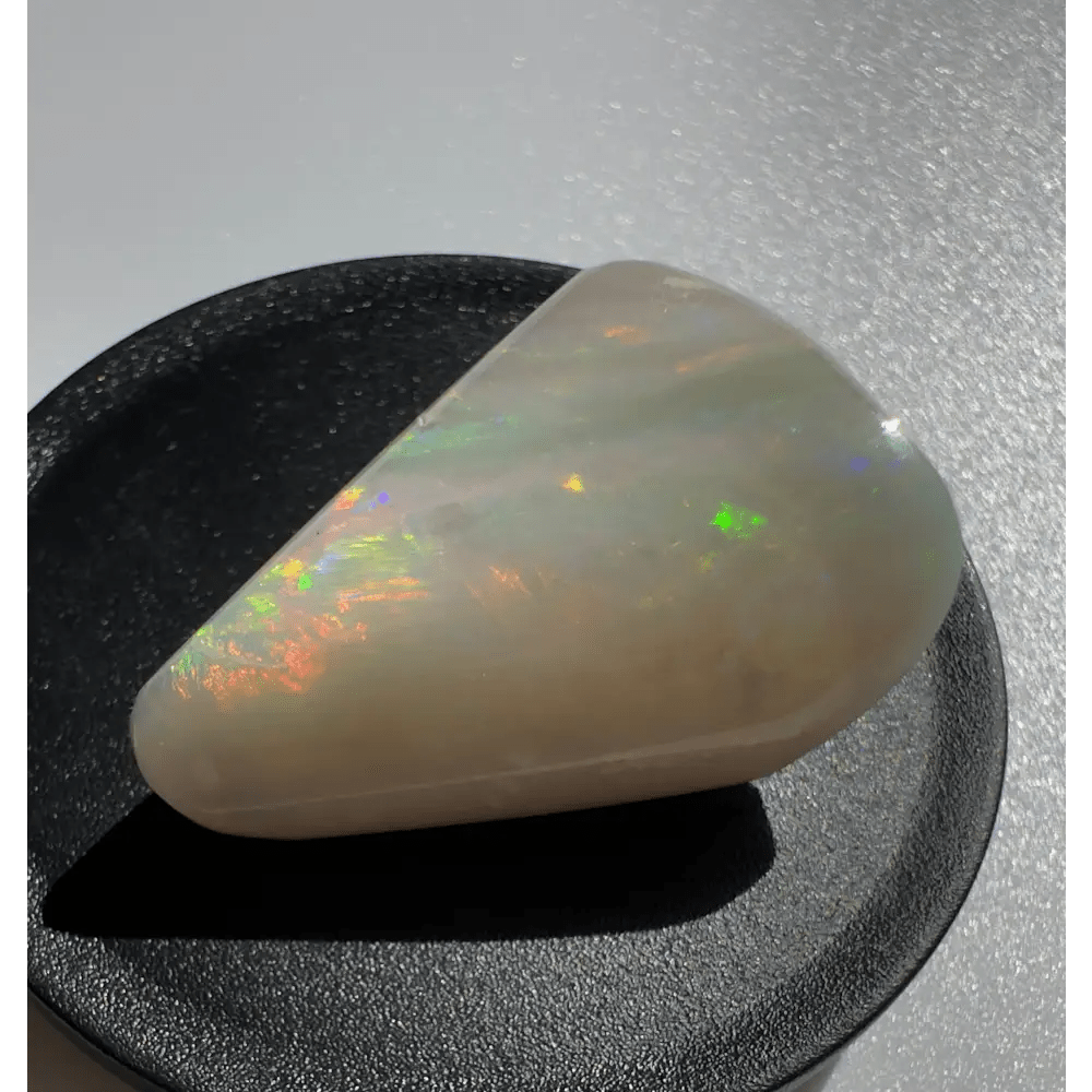 Coober Pedy Opal Sea Shell 14.9carat Solid Hand - Cut