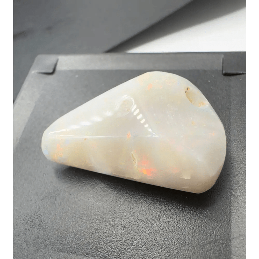 Coober Pedy Opal Sea Shell 14.9carat Solid Hand - Cut