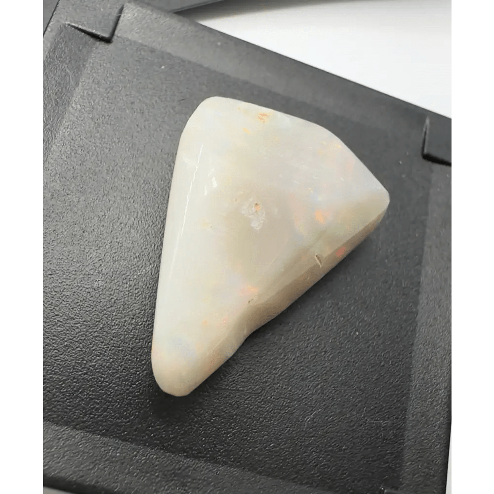 Coober Pedy Opal Sea Shell 14.9carat Solid Hand - Cut