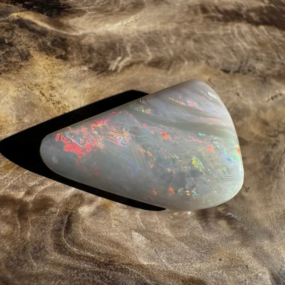 Coober Pedy Opal Sea Shell 14.9carat Solid Hand - Cut