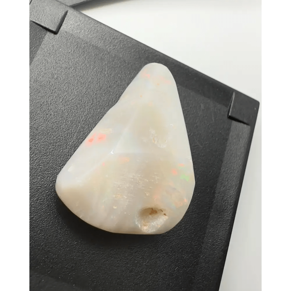 Coober Pedy Opal Sea Shell 14.9carat Solid Hand - Cut