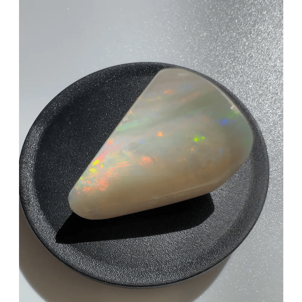 Coober Pedy Opal Sea Shell 14.9carat Solid Hand - Cut