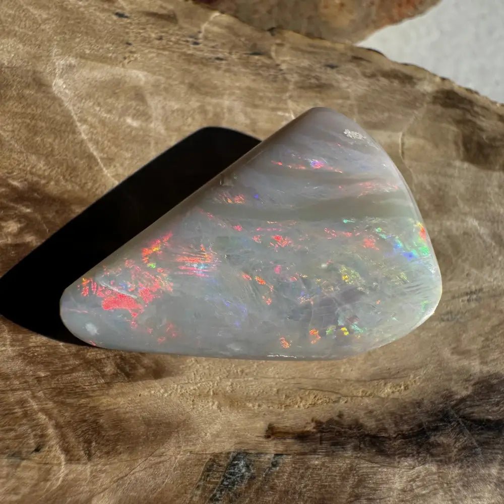Coober Pedy Opal Sea Shell 14.9carat Solid Hand - Cut