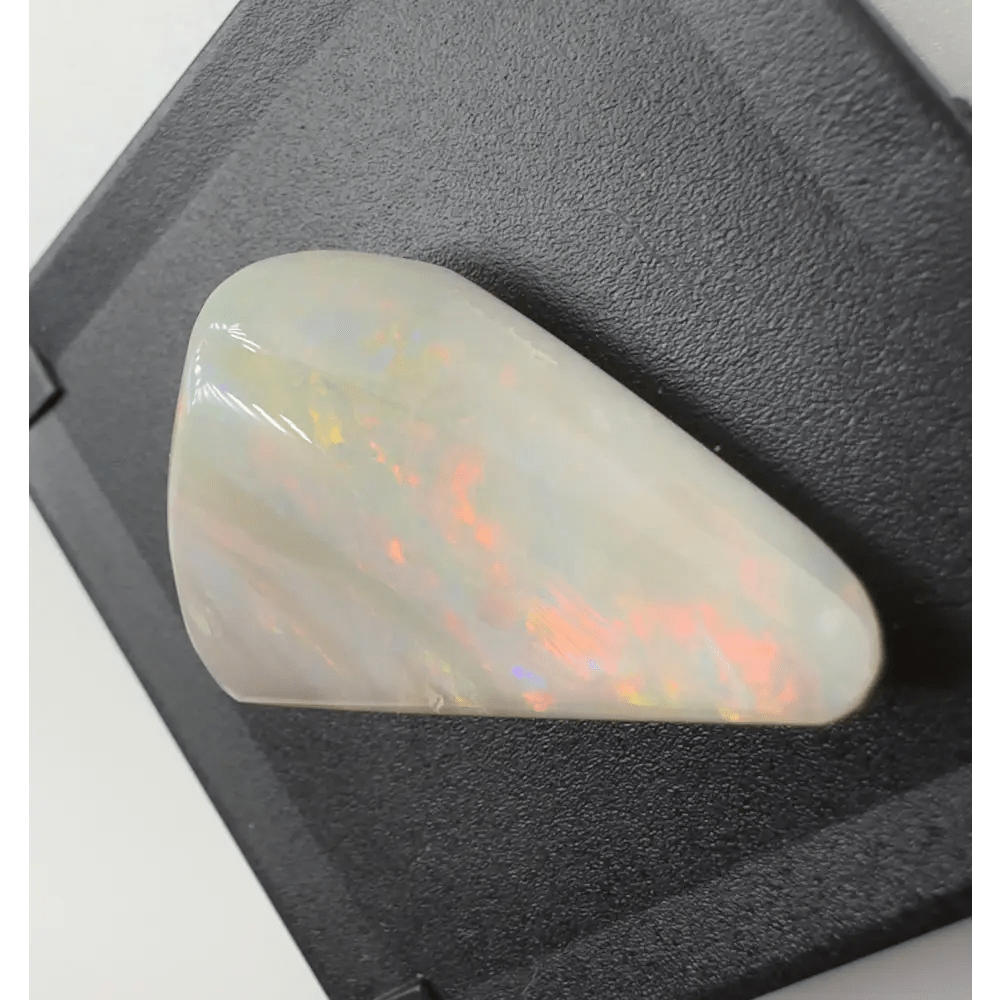 Coober Pedy Opal Sea Shell 14.9carat Solid Hand - Cut