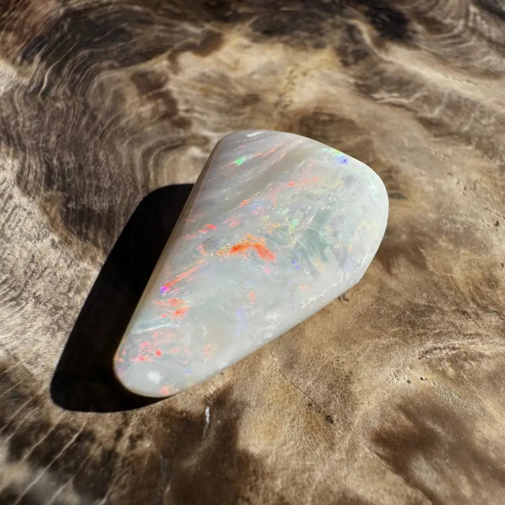 Coober Pedy Opal Sea Shell 14.9carat Solid Hand - Cut