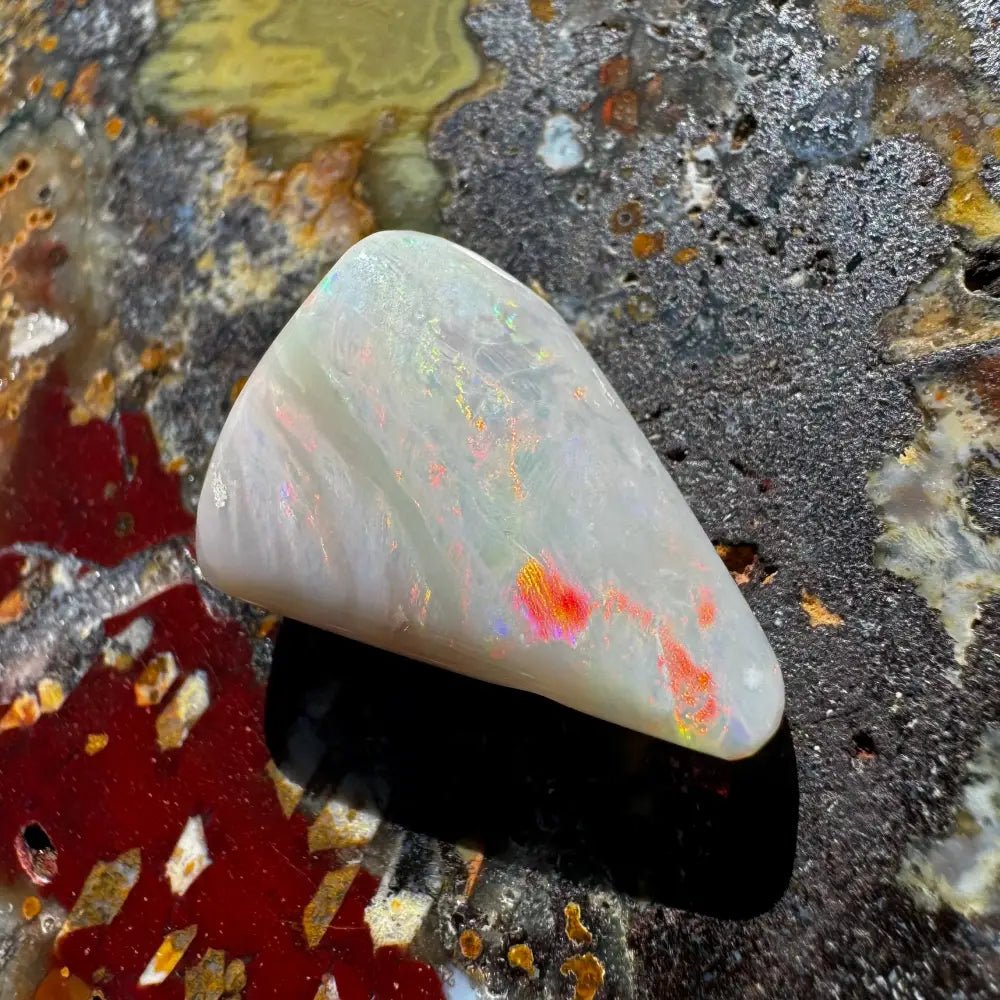 Coober Pedy Opal Sea Shell 14.9carat Solid Hand - Cut