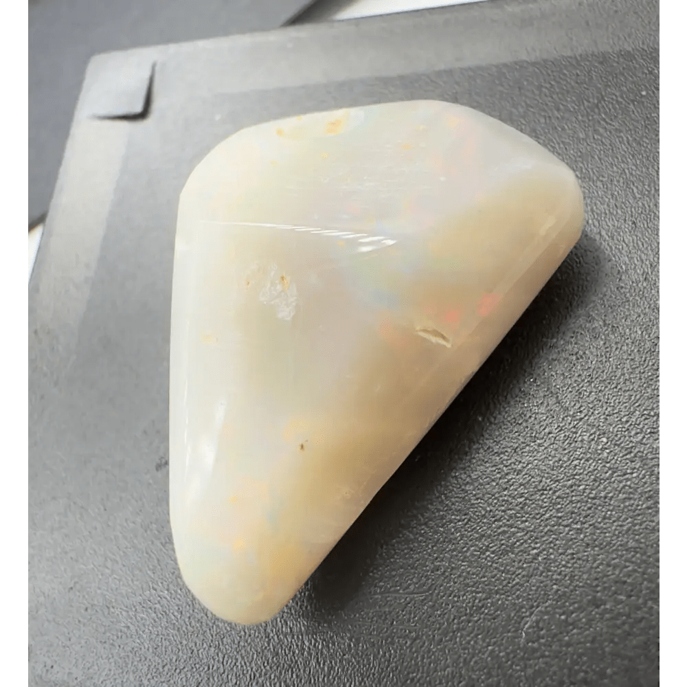 Coober Pedy Opal Sea Shell 14.9carat Solid Hand - Cut