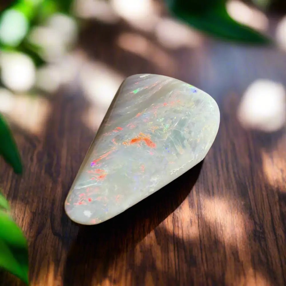 Coober Pedy Opal Sea Shell 14.9carat Solid Hand - Cut