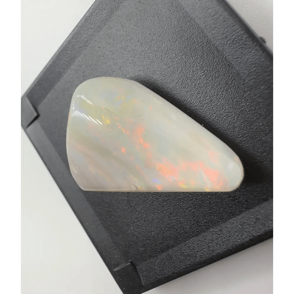 Coober Pedy Opal Sea Shell 14.9carat Solid Hand - Cut
