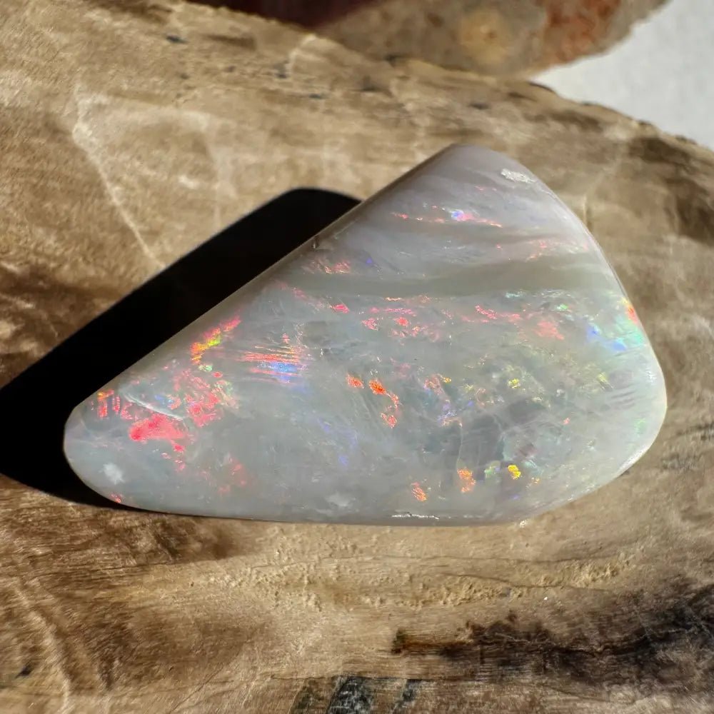 Coober Pedy Opal Sea Shell 14.9carat Solid Hand - Cut