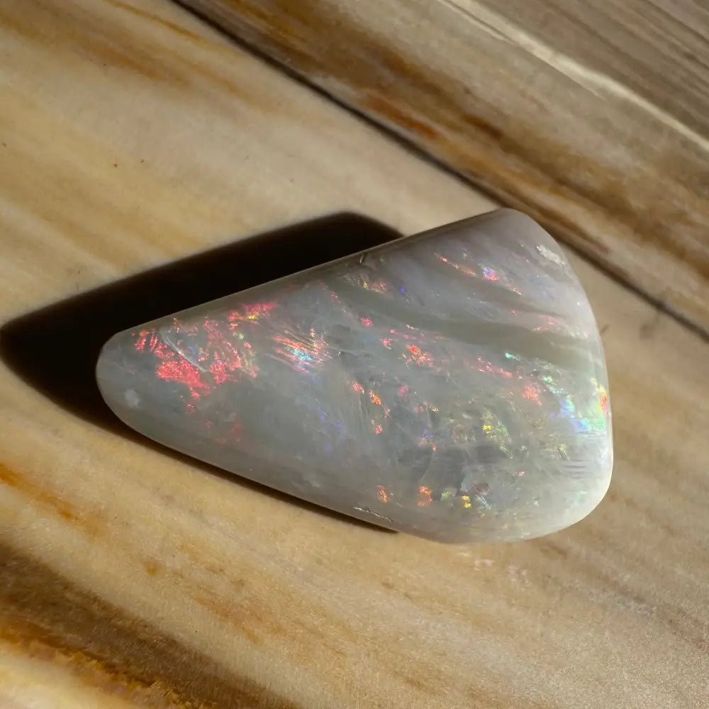 Coober Pedy Opal Sea Shell 14.9carat Solid Hand - Cut