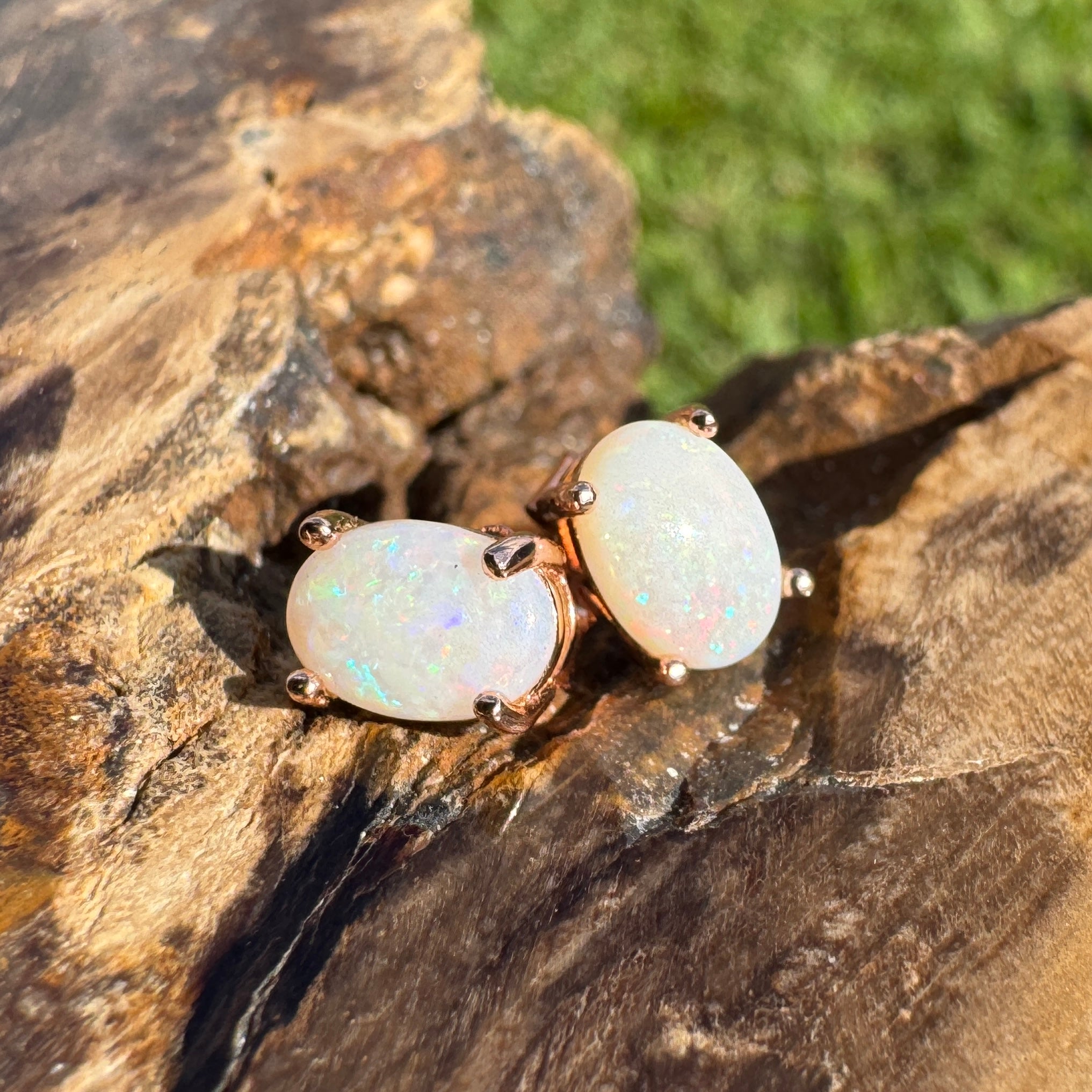 Desert Bloom ~ 1.3ct Coober Pedy Opal Rose Gold Coated Sterling Silver Earrings