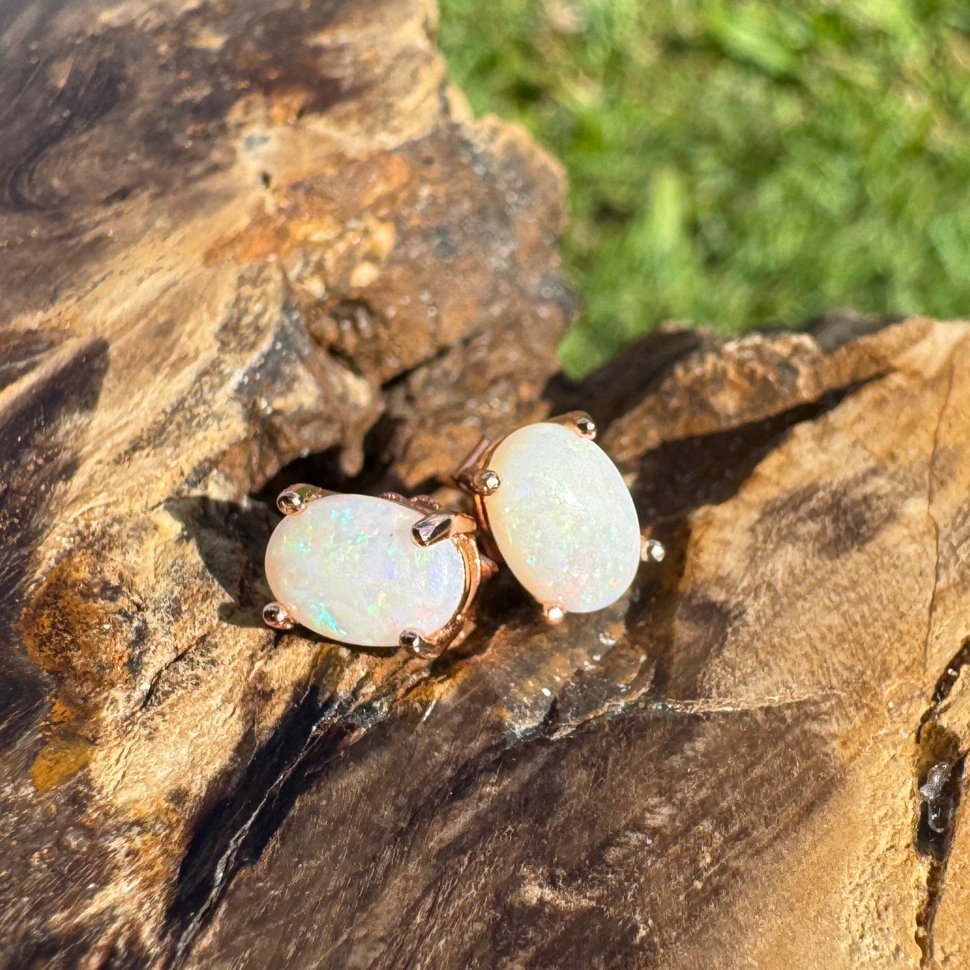 Desert Bloom ~ 1.3ct Coober Pedy Opal Rose Gold Coated Sterling Silver Earrings