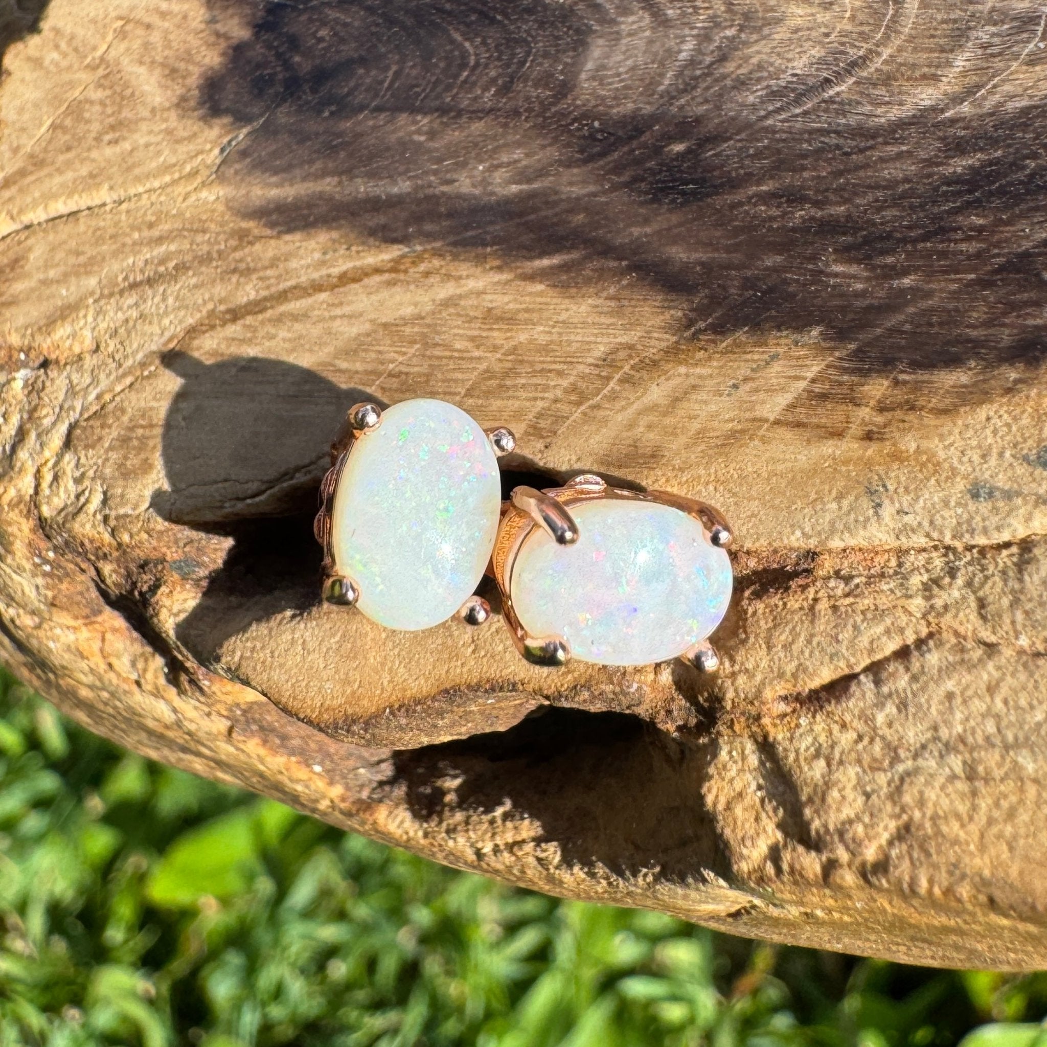 Desert Bloom ~ 1.3ct Coober Pedy Opal Rose Gold Coated Sterling Silver Earrings
