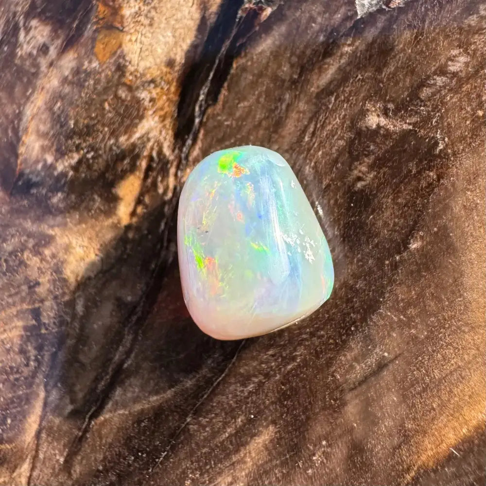 Polished Lightning Ridge Opal gemstone with iridescent colors in a 2.4-carat hand-cut solid form