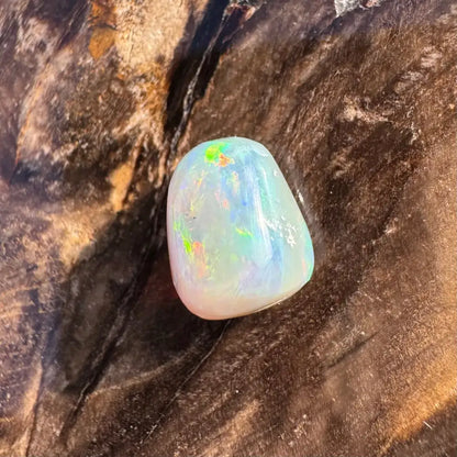 Polished Lightning Ridge Opal gemstone with iridescent colors in a 2.4-carat hand-cut solid form