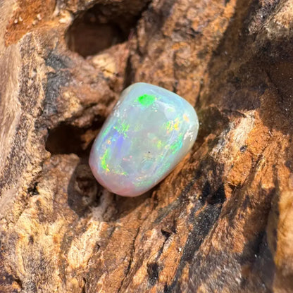 Polished Lightning Ridge Opal gemstone displaying iridescent colors in a hand-cut 2.4 carat setting