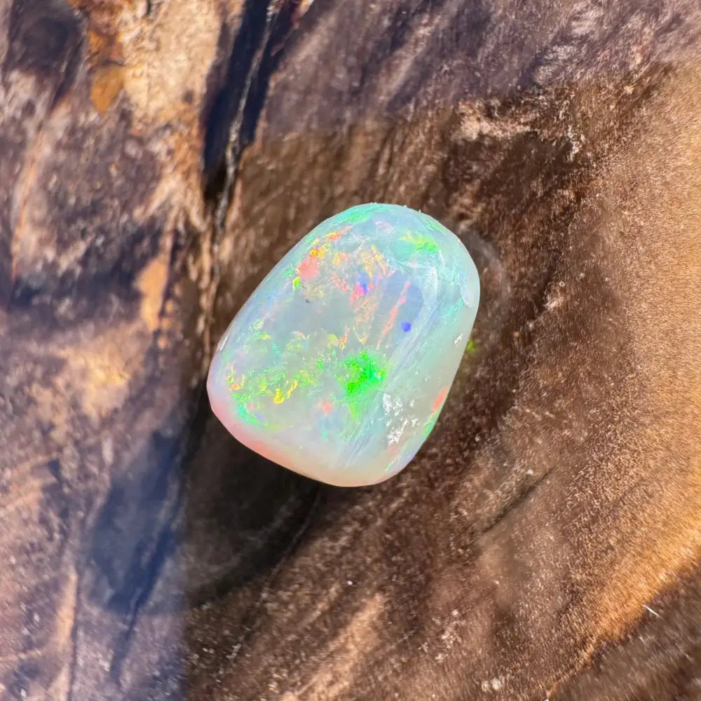 Polished Lightning Ridge Opal with vibrant color play in a 2.4 carat hand-cut specimen