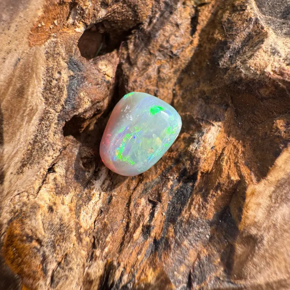Polished Lightning Ridge Opal gemstone with iridescent flashes in Hand-Cut 2.4 Carat Product