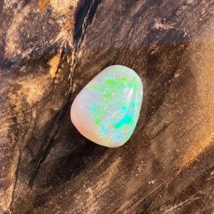 Polished Lightning Ridge Opal 2.4 carats displaying vibrant green and blue play-of-color