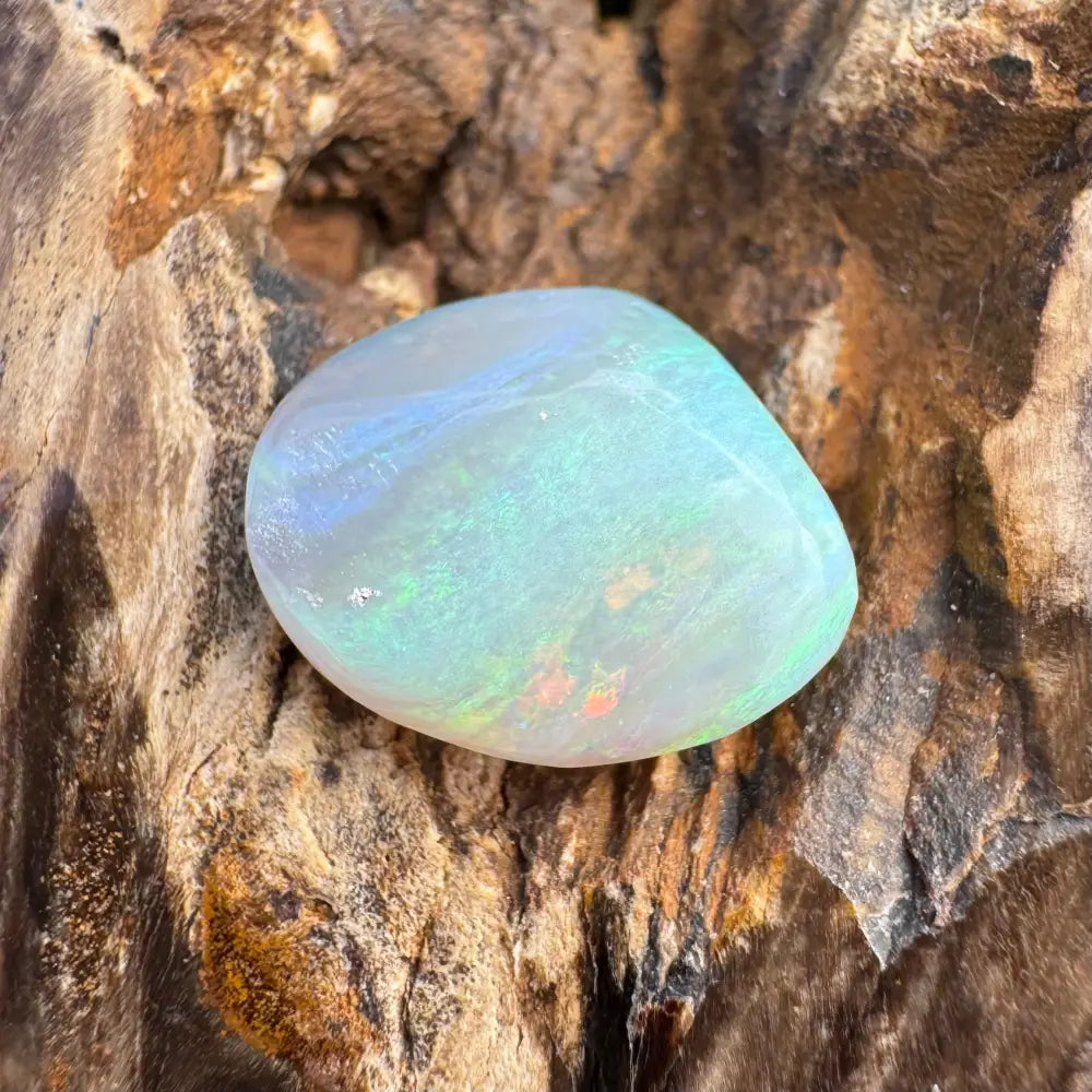 Polished Lightning Ridge Opal with iridescent play-of-color in a 7.3 carat hand-cut gemstone