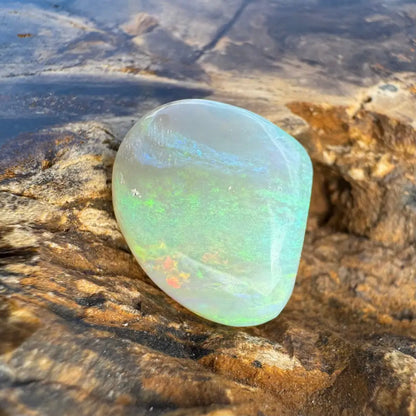 Polished Lightning Ridge Opal with iridescent play-of-color in 7.3 carats
