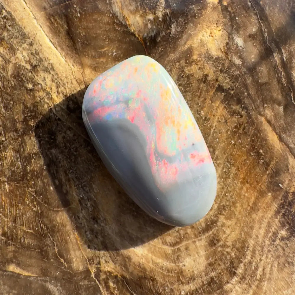 Polished Lightning Ridge Semi Black Opal gemstone with vibrant play-of-color for jewelry