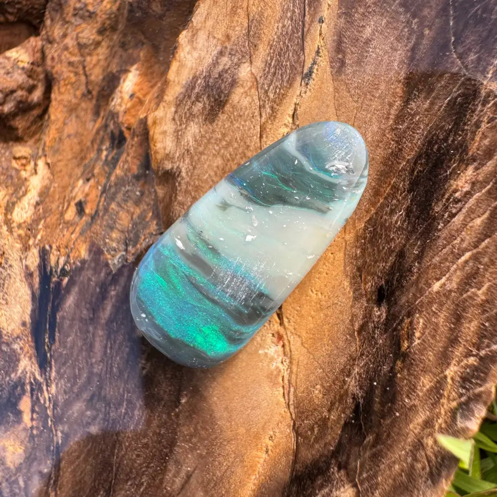 Polished Lightning Ridge semi black opal showcasing green and blue iridescence in a 4.9 carat gemstone
