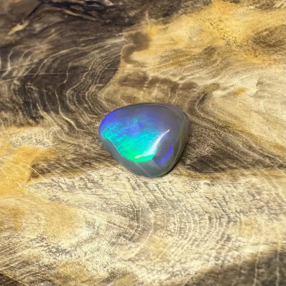 Polished Lightning Ridge Black Opal with vibrant blue-green play-of-color, 5.4 carats