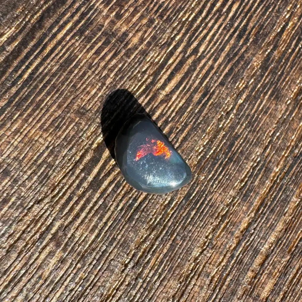 Polished black opal with vibrant red fire from Lightning Ridge 1.4 carat hand-cut gemstone