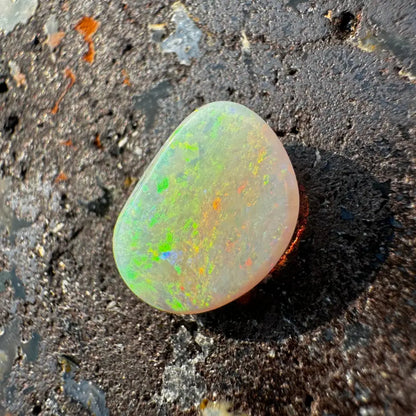 Polished Lightning Ridge Opal 2.4 carat solid hand-cut with iridescent colors