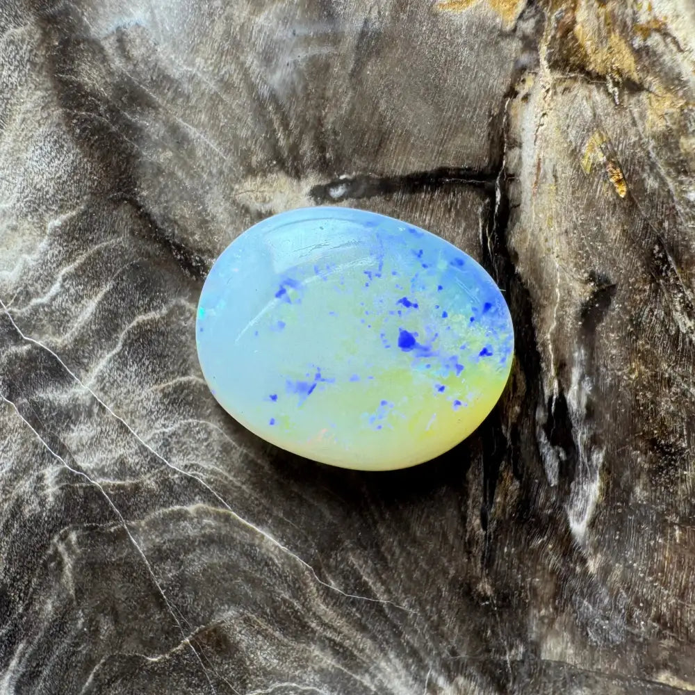 Polished Lightning Ridge Opal cabochon with blue and yellow inclusions for jewelry