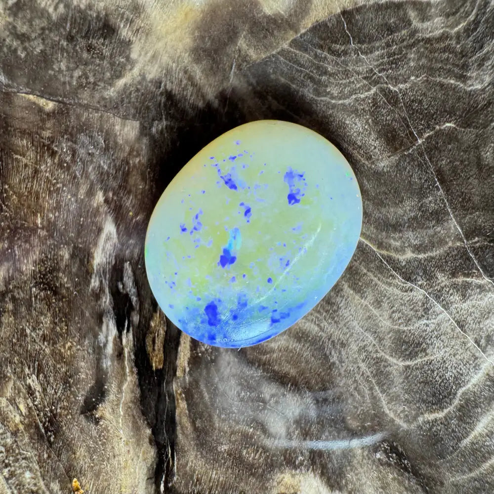 Polished oval Lightning Ridge opal with blue spots, 3.5 carats, hand-cut gemstone