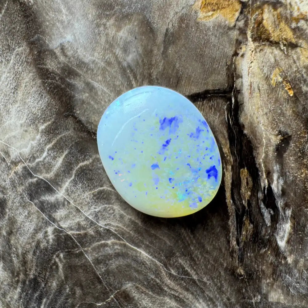 Polished Lightning Ridge opal cabochon with blue and yellow inclusions for jewelry use