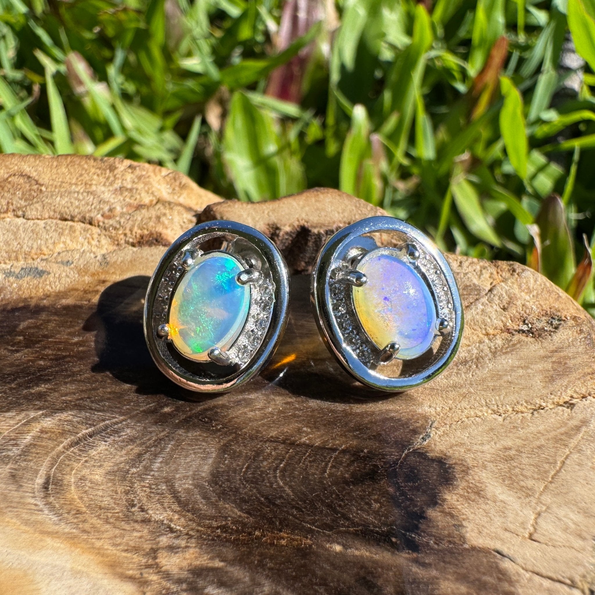 Moreton Blueflare ~ 1.2ct Solid Lightning Ridge Crystal Opal 925 Silver Earrings