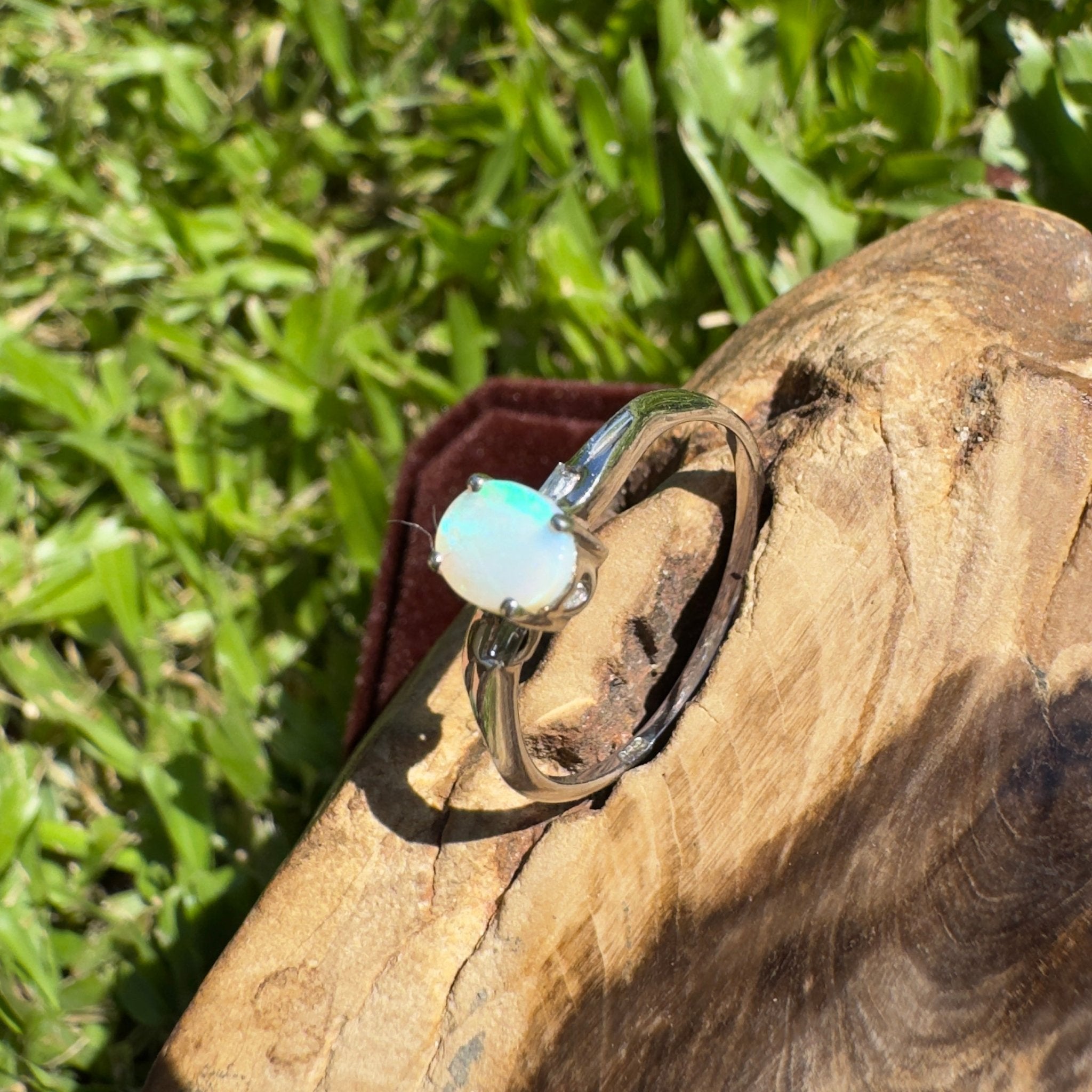 Mornington Gleam ~ 0.5ct Solid Coober Pedy Opal 925 Silver Ring