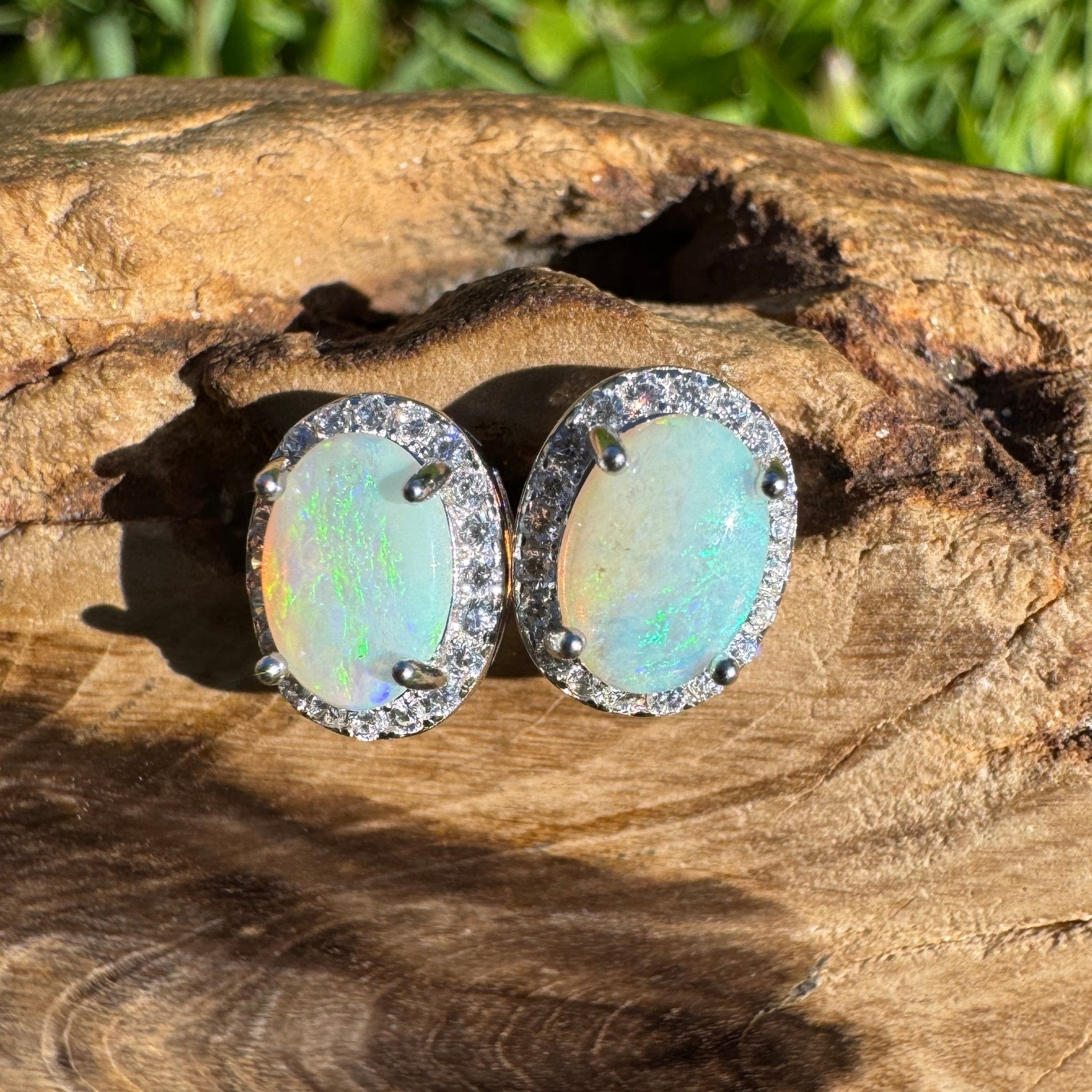 Nelson Bay Sea Foam ~ 1.4ct Solid Lightning Ridge Opal Earrings