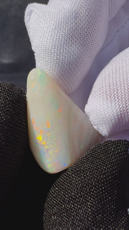 Coober Pedy Opal Sea Shell 14.9carat Solid Hand-Cut Luxury