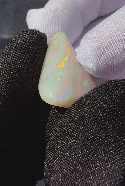 Coober Pedy Opal Sea Shell 14.9carat Solid Hand-Cut Luxury