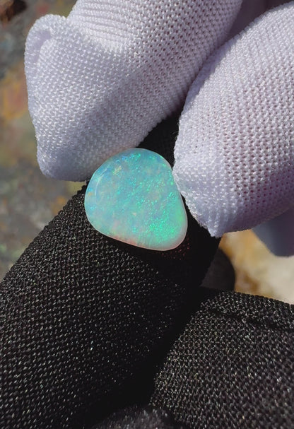 Lightning Ridge Opal 1.5carat Solid Hand-Cut Luxury