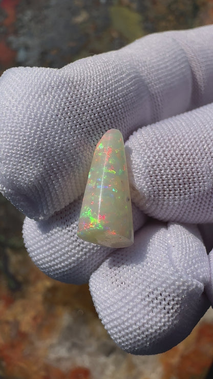 Coober Pedy Belemnite Opal (Fossilised Squid) 2.6carat Solid