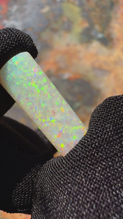 Coober Pedy Belemnite Opal (Fossil Opal Squid) 5.3carat Solid Hand-Cut Luxury