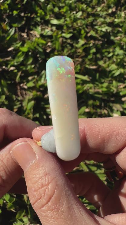 Coober Pedy Belemnite Opal (Fossilised Squid) 7.2carat Solid Hand-Cut Luxury